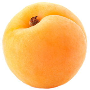 Apricot PNG-12656